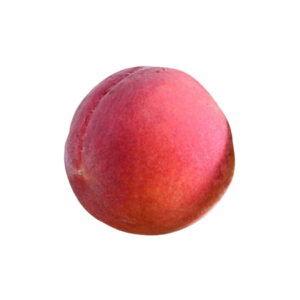 gloria peach