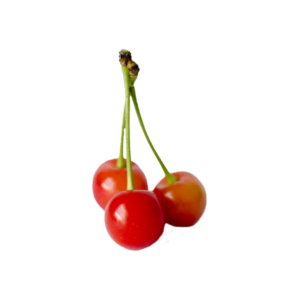 montmorency cherries