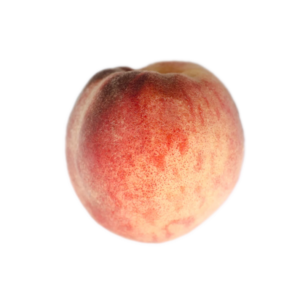 raritan rose peach