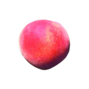 starfire peach
